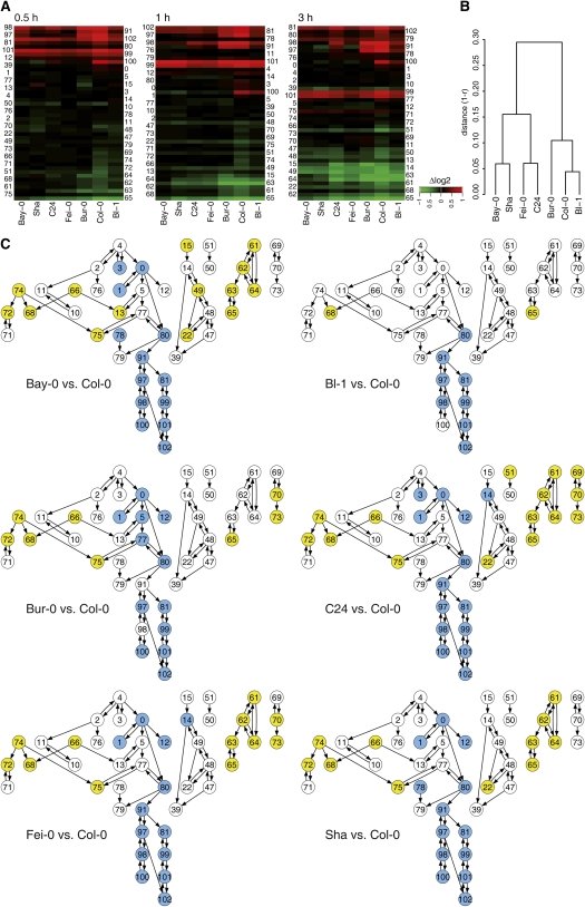 Figure 6.