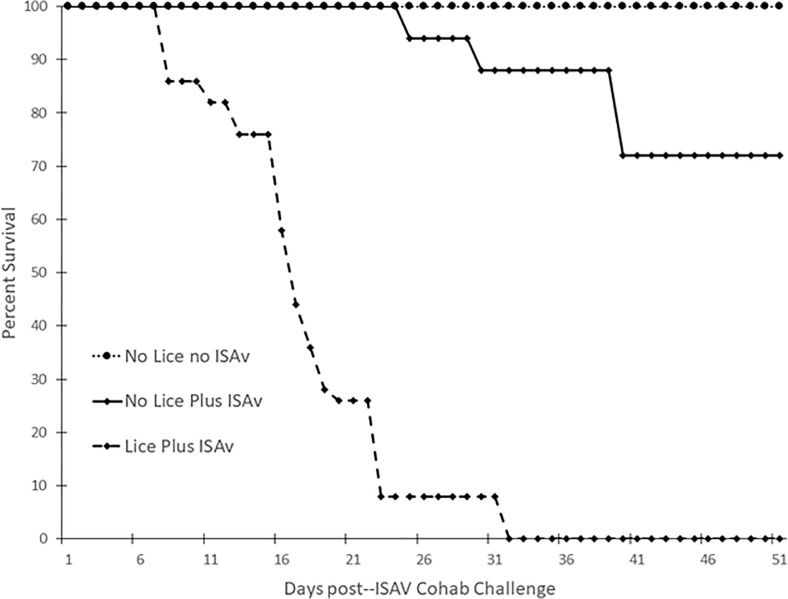 Fig 5