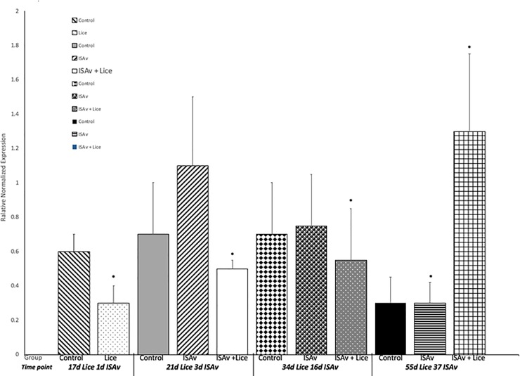 Fig 13