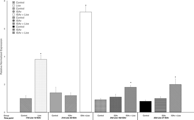 Fig 10