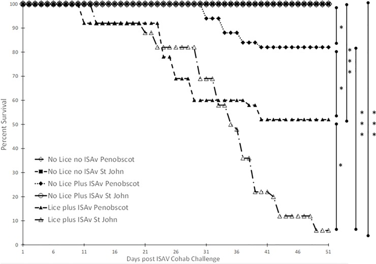 Fig 12