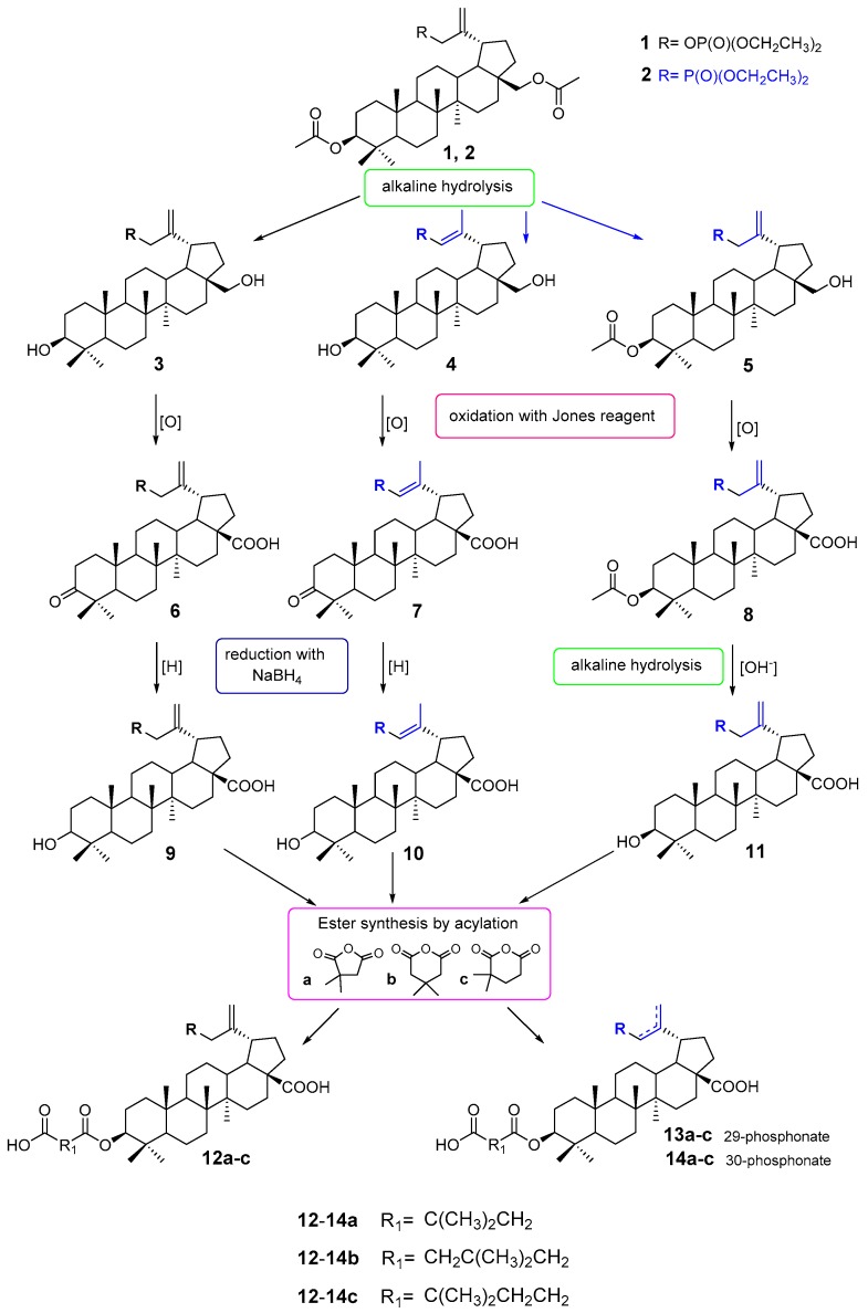 Scheme 1