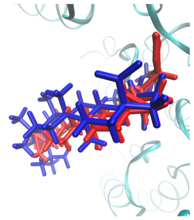 Figure 13