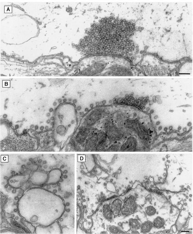 FIG. 10.