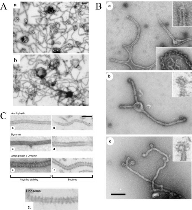 FIG. 11.