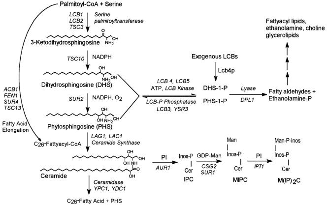 FIG. 8.