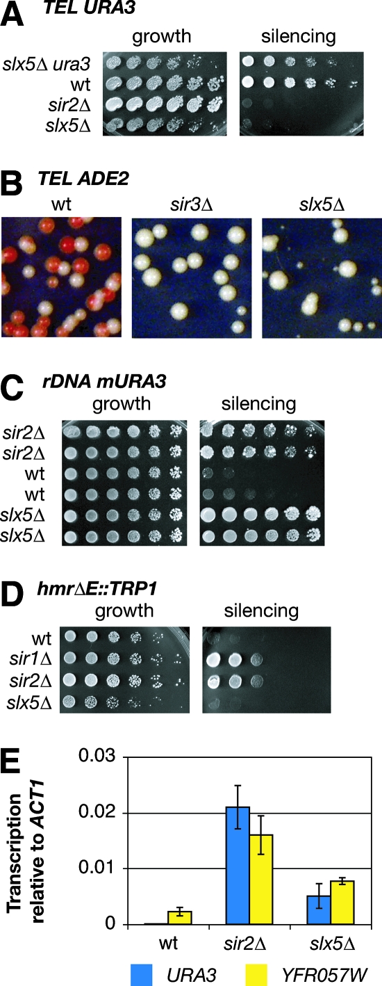 FIG. 4.