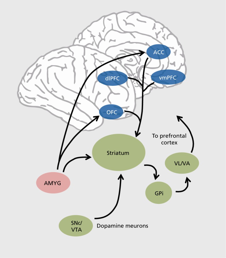 Figure 1.