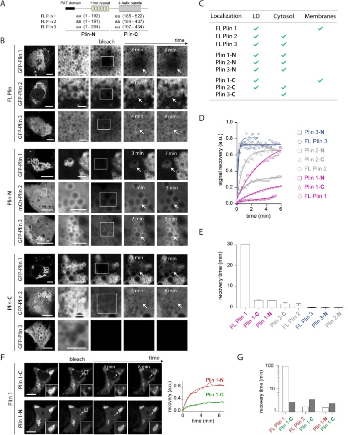 FIGURE 1: