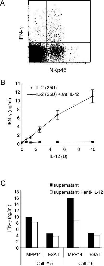 FIG. 5.