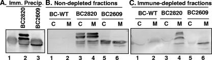 FIG. 10.