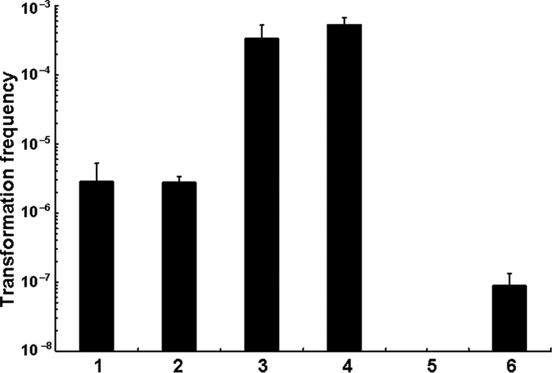 FIG. 1.