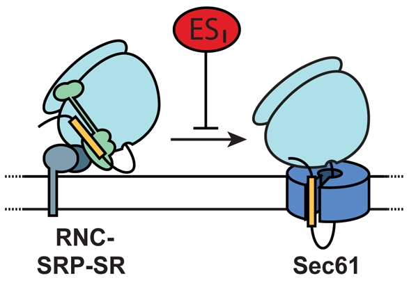 Fig. 8.