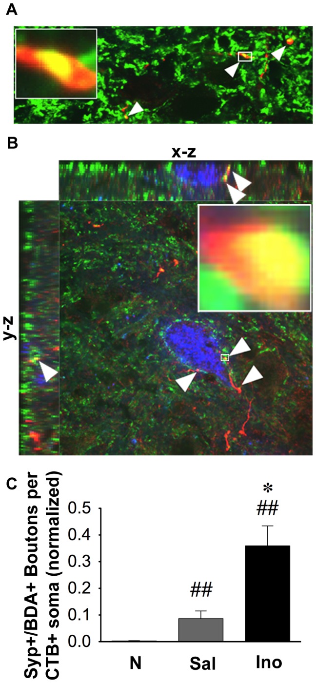 Figure 7