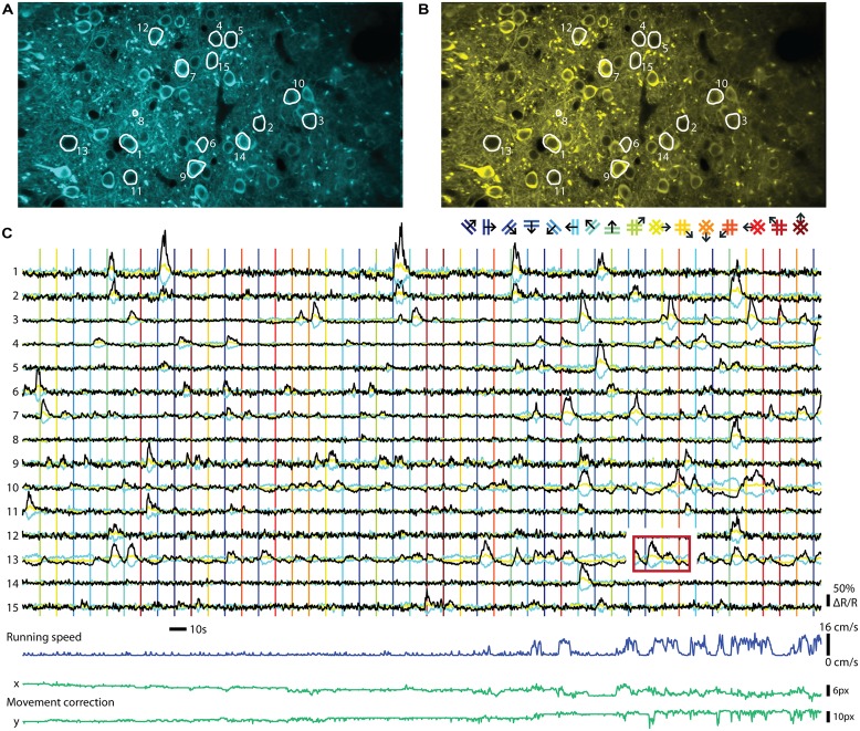 FIGURE 2