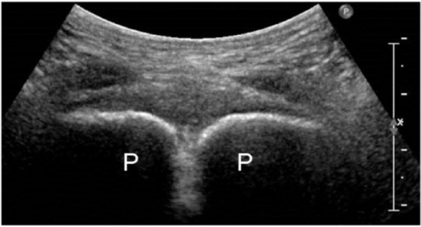 Figure 8.