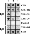 FIG. 4.