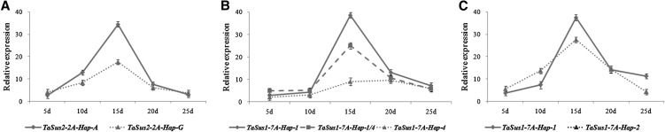 Figure 6.