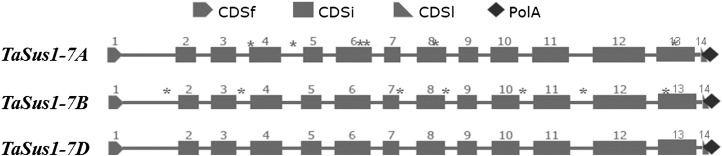 Figure 2.