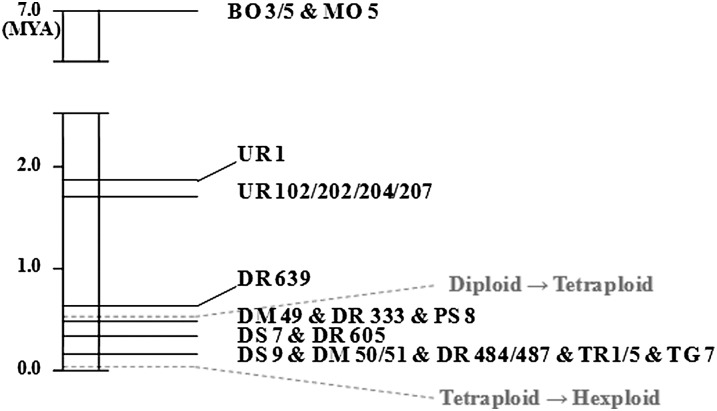 Figure 12.