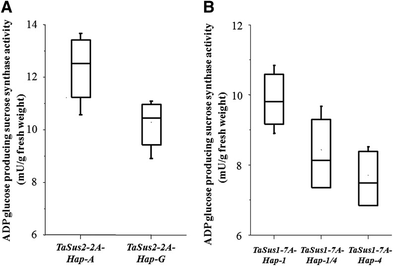 Figure 7.