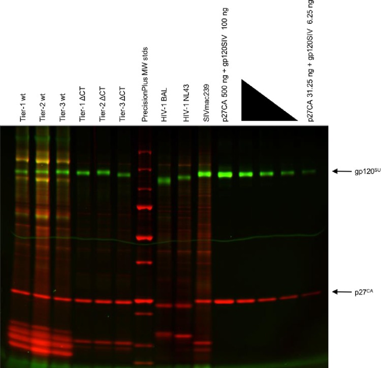 FIG 3