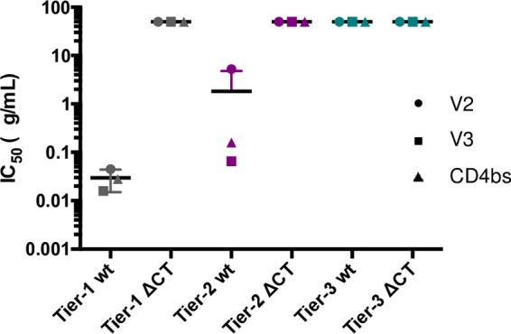 FIG 2