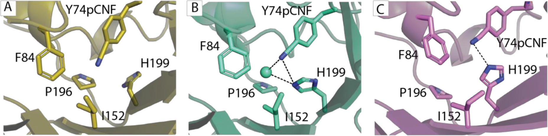 Figure 9.