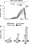 Fig. 9.