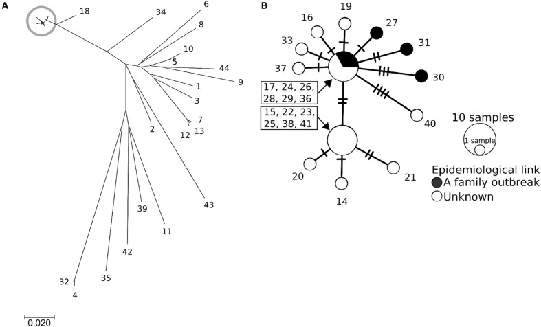 FIGURE 3