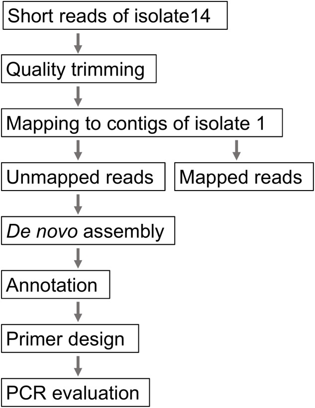 FIGURE 1