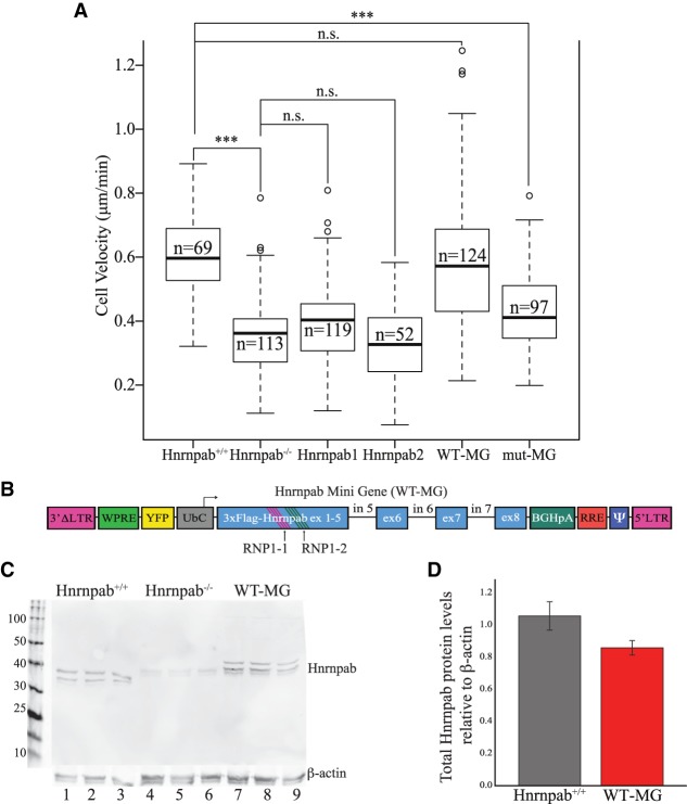 FIGURE 2.