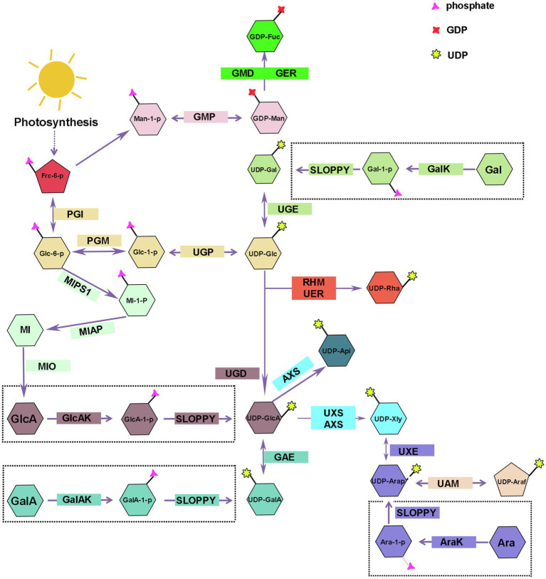 Figure 2