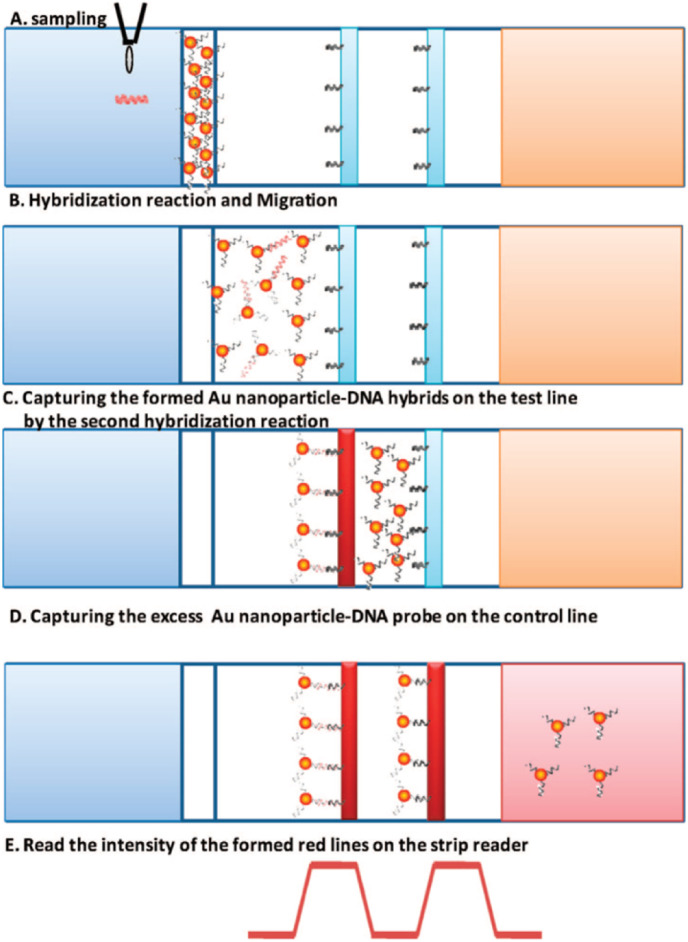 Fig. 13