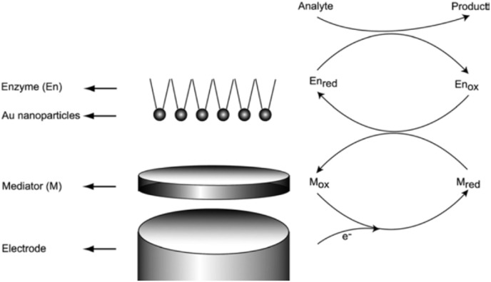 Fig. 3