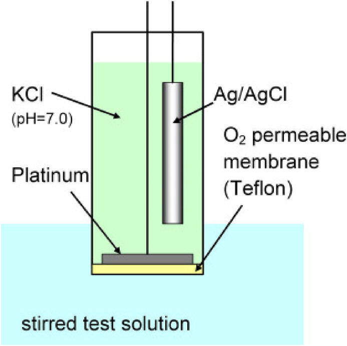 Fig. 1