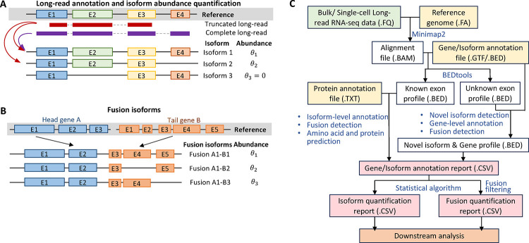 Figure 1: