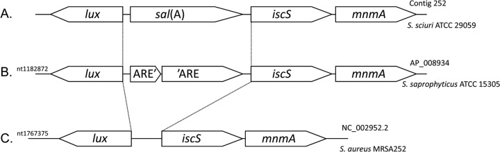 FIG 1