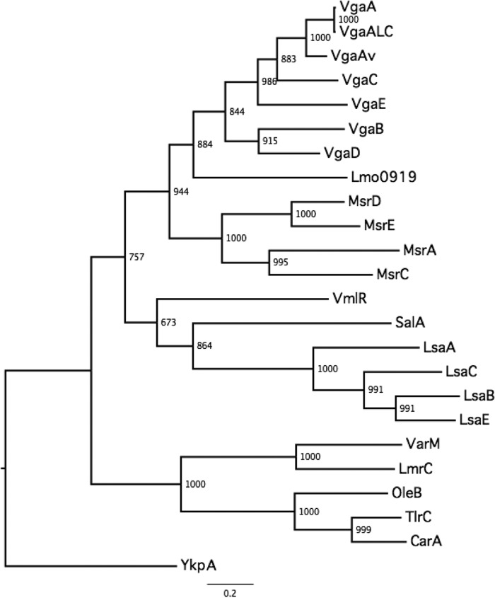 FIG 3