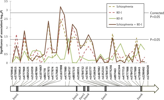 Fig 1