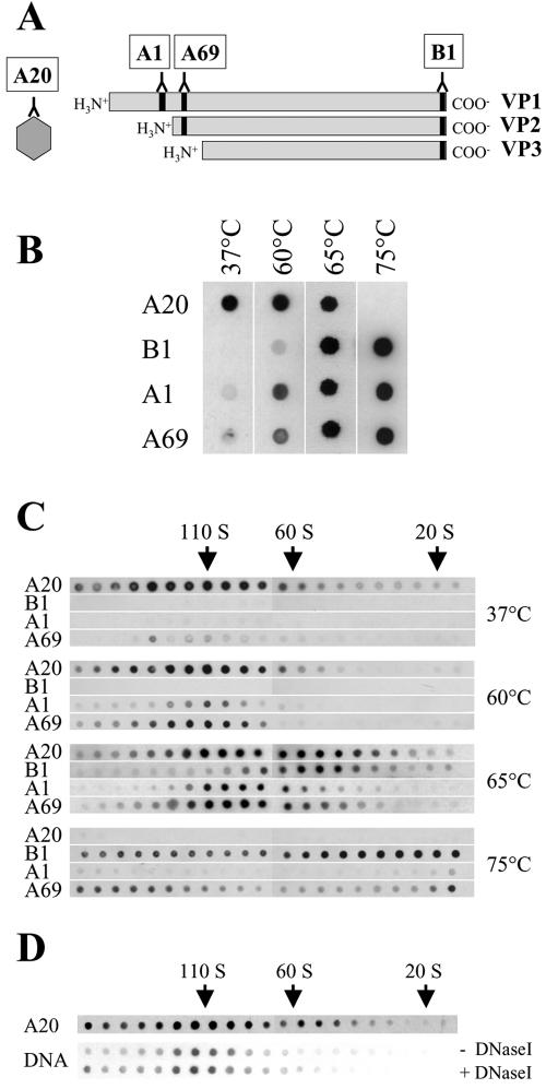 FIG. 6.