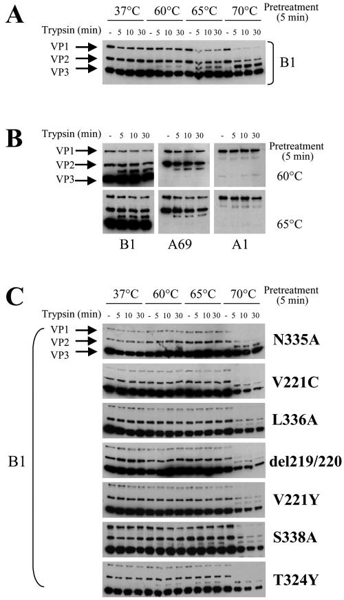 FIG. 8.