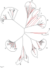 F<sc>IG</sc>. 1.—