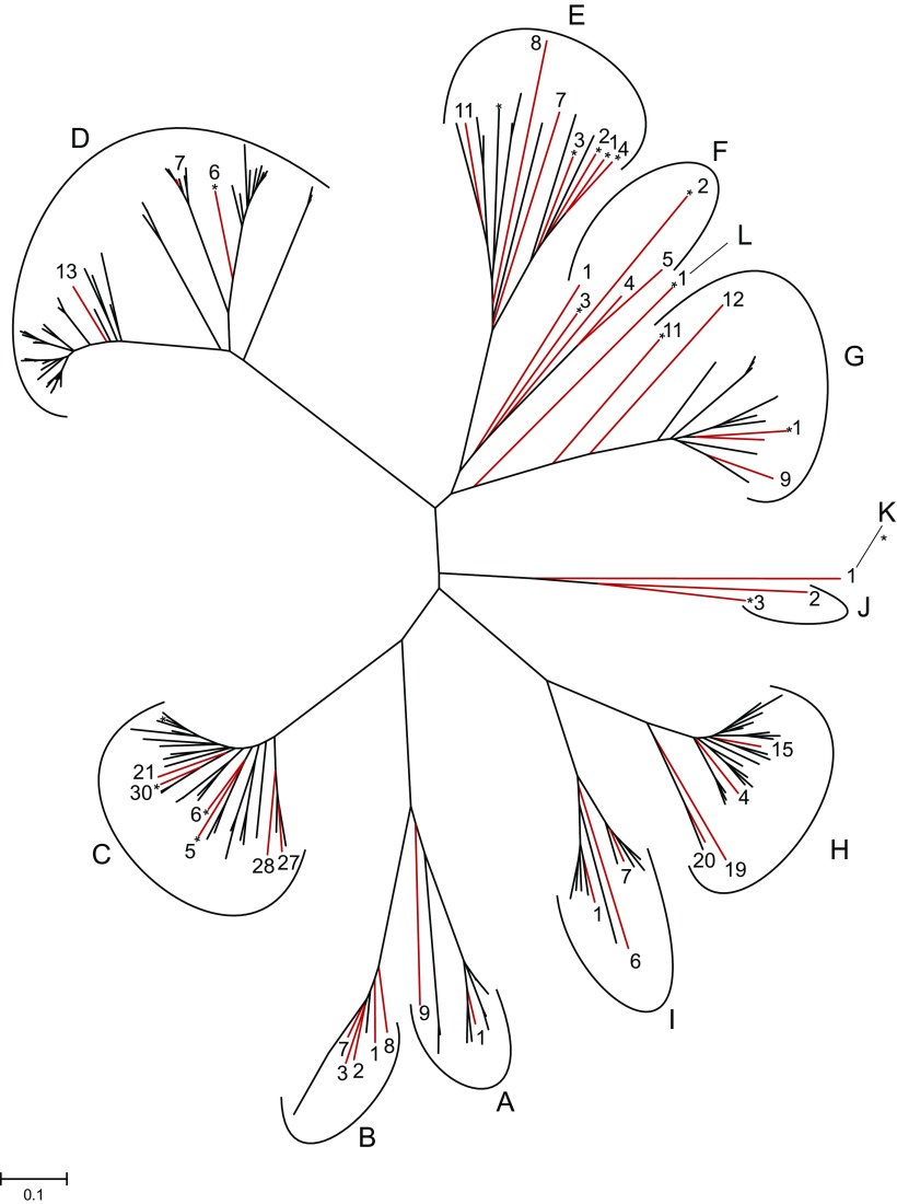 FIG. 1.—