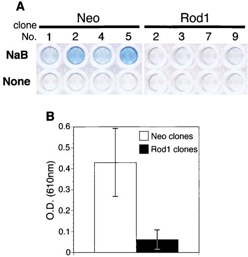 FIG. 9
