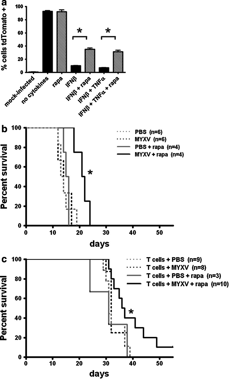 Fig. 6