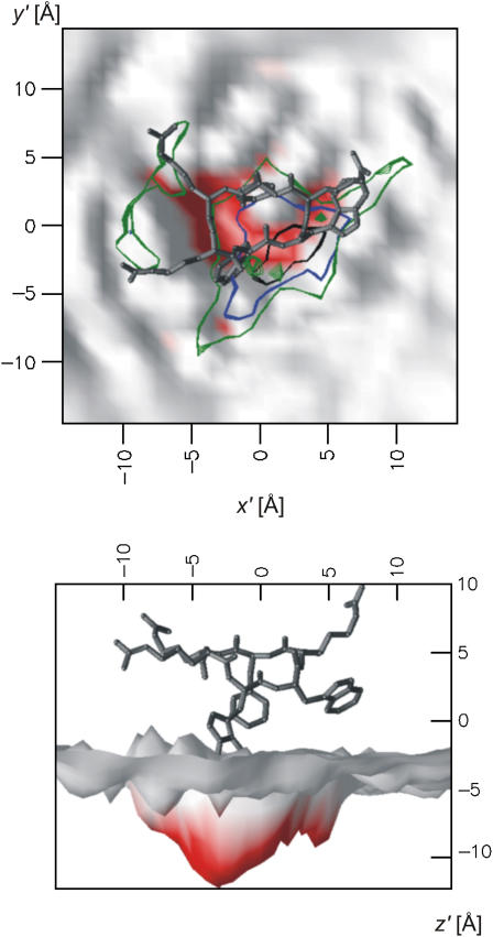 FIGURE 10