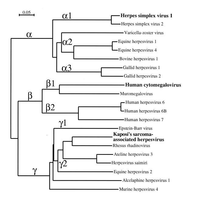 FIG. 8