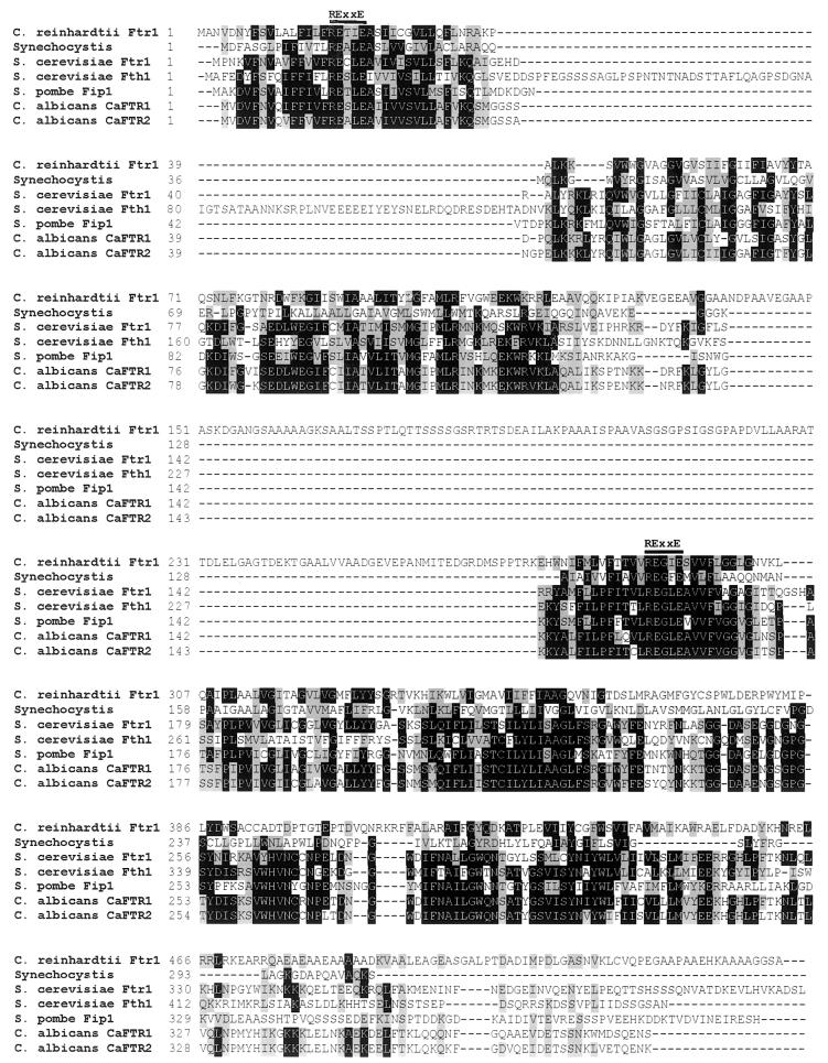 FIG. 4.