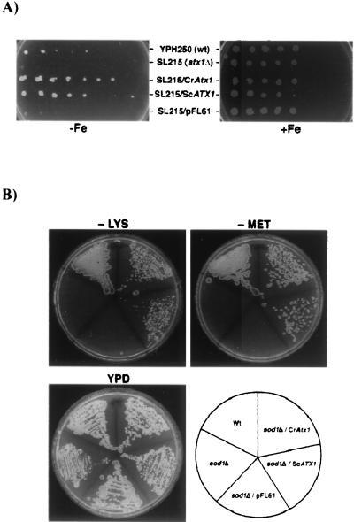 FIG. 10.